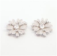 Orecchini Domar Gioielli Donna Orecchino argento 925 in Argento Cubic Zirconia EZB117531
